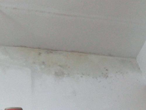 低樓層房屋墻壁出現返潮現象，有哪些解決辦法?